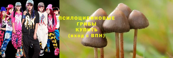 кокс Алексеевка