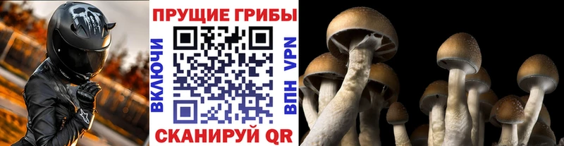 Галлюциногенные грибы MAGIC MUSHROOMS  Купить закладки  Петушки 